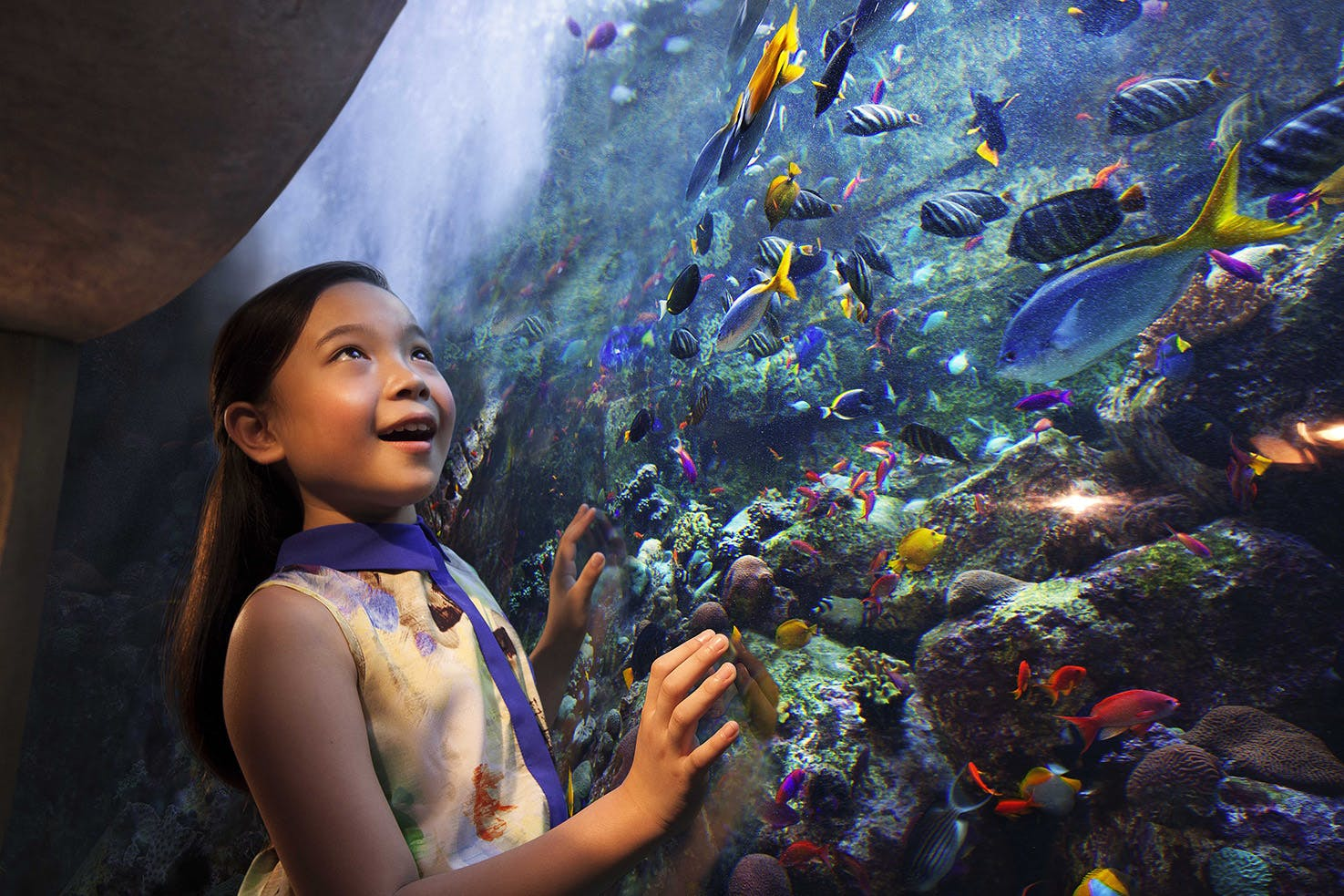 Aquaventure World: Waterpark Day Pass + Lost World Aquarium - Photo 1 of 7